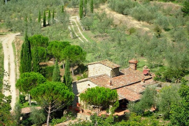p8.jpg
